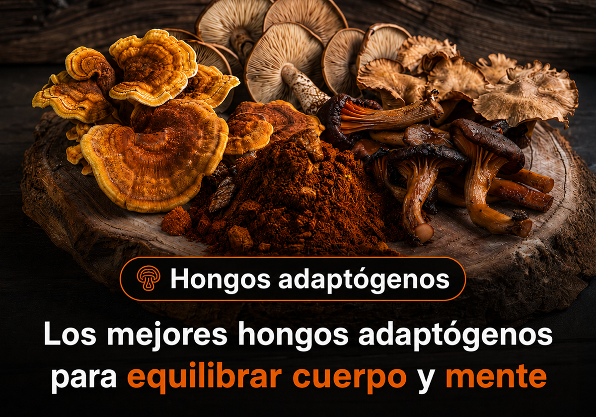 Los mejores hongos adaptógenos y cómo elegir el adecuado para ti