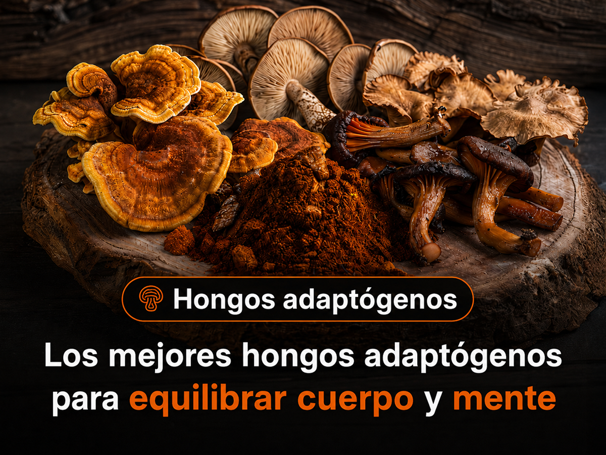Los mejores hongos adaptógenos y cómo elegir el adecuado para ti