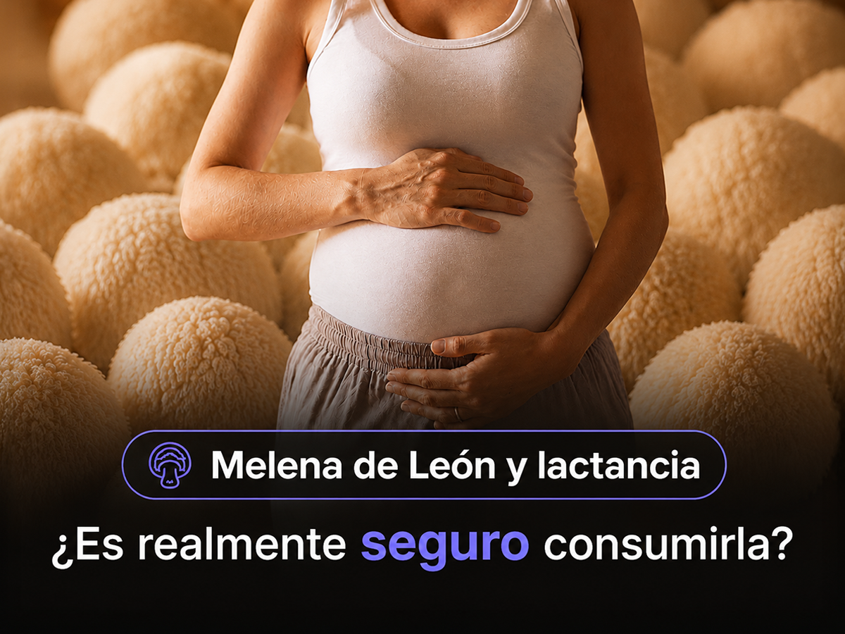 Tomar Melena de León en lactancia y embarazo: lo que debes saber sobre los hongos funcionales