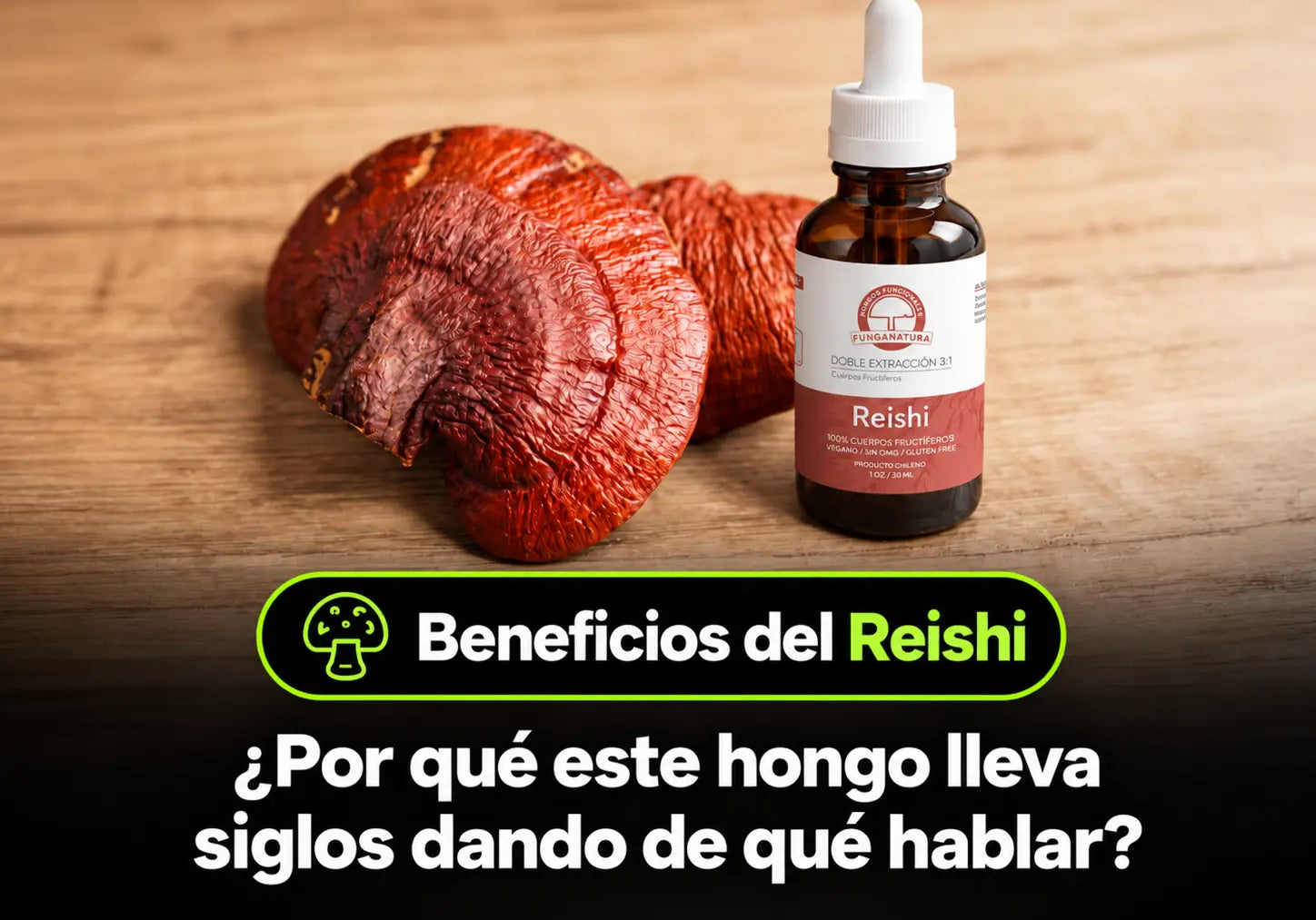Beneficios del Reishi: por qué este hongo lleva siglos dando de qué hablar