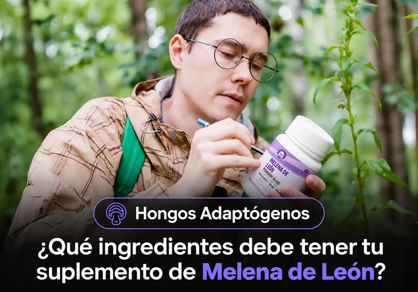 ¿Qué ingredientes debe tener tu suplemento de Melena de León?
