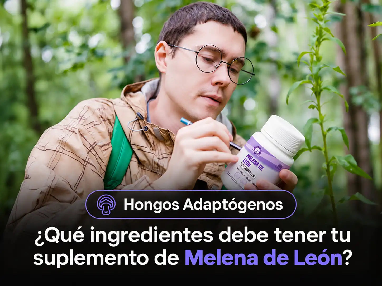 ¿Qué ingredientes debe tener tu suplemento de Melena de León?