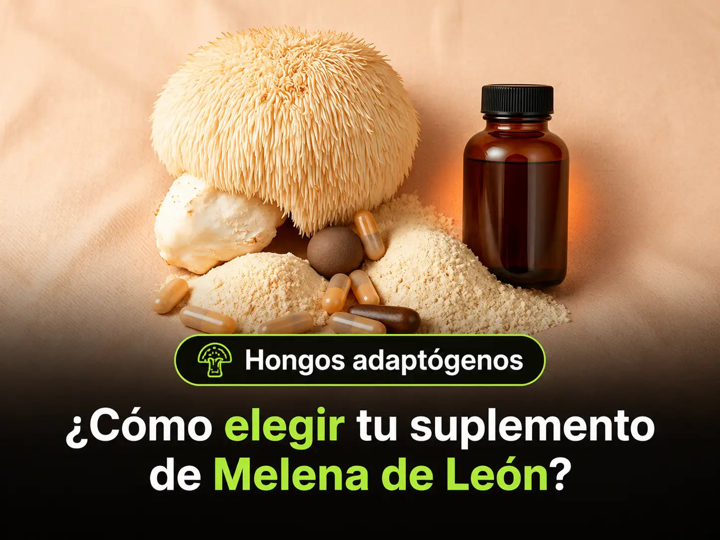 Melena de León: ¿cómo elegir el suplemento que se ajuste a ti?