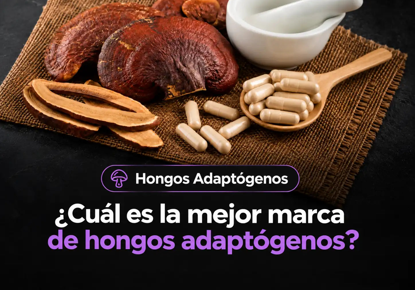 ¿Cuál es la mejor marca de hongos adaptógenos en Chile?