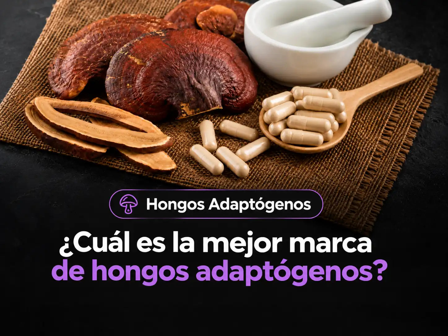 ¿Cuál es la mejor marca de hongos adaptógenos en Chile?