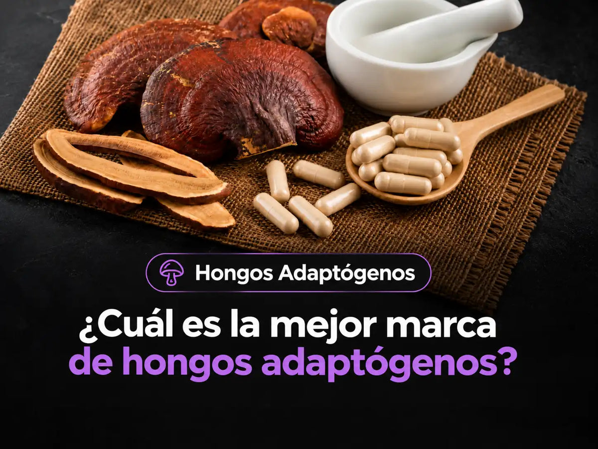 Cuál es la mejor marca de hongos adaptógenos en Chile