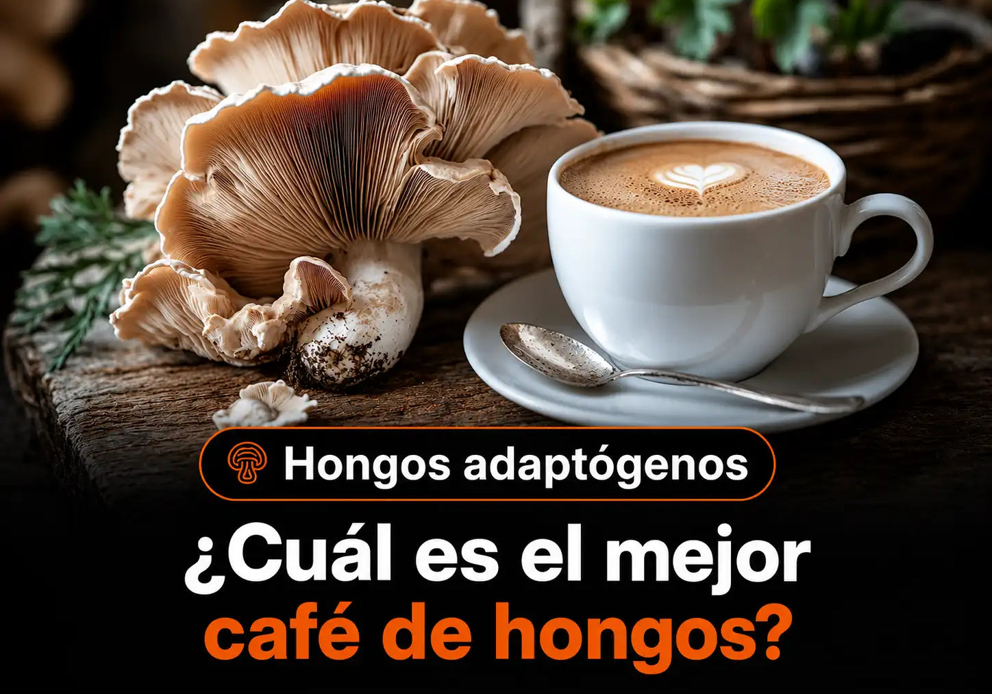 ¿Cuál es el mejor café de hongos? ¡Todo lo que debes saber!