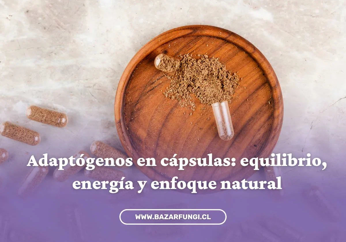 Adaptógenos en cápsulas: una forma práctica de conectar con la energía natural