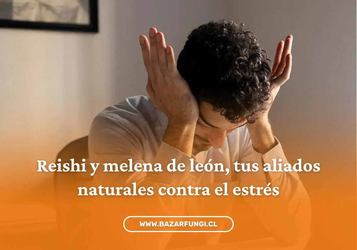 Adaptógenos para el estrés: ayuda natural para tiempos agitados