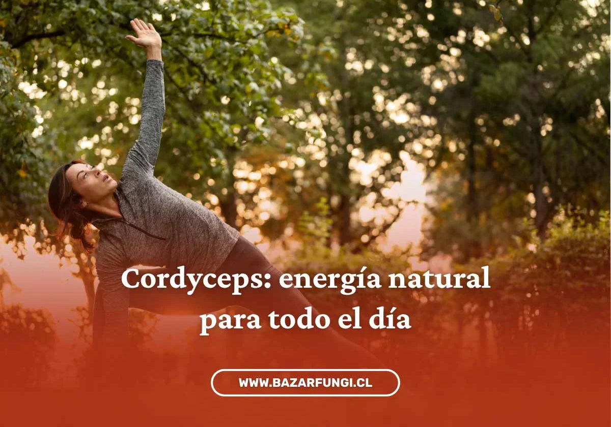 Adaptógenos para energía: una ayuda natural para recuperar tu vitalidad