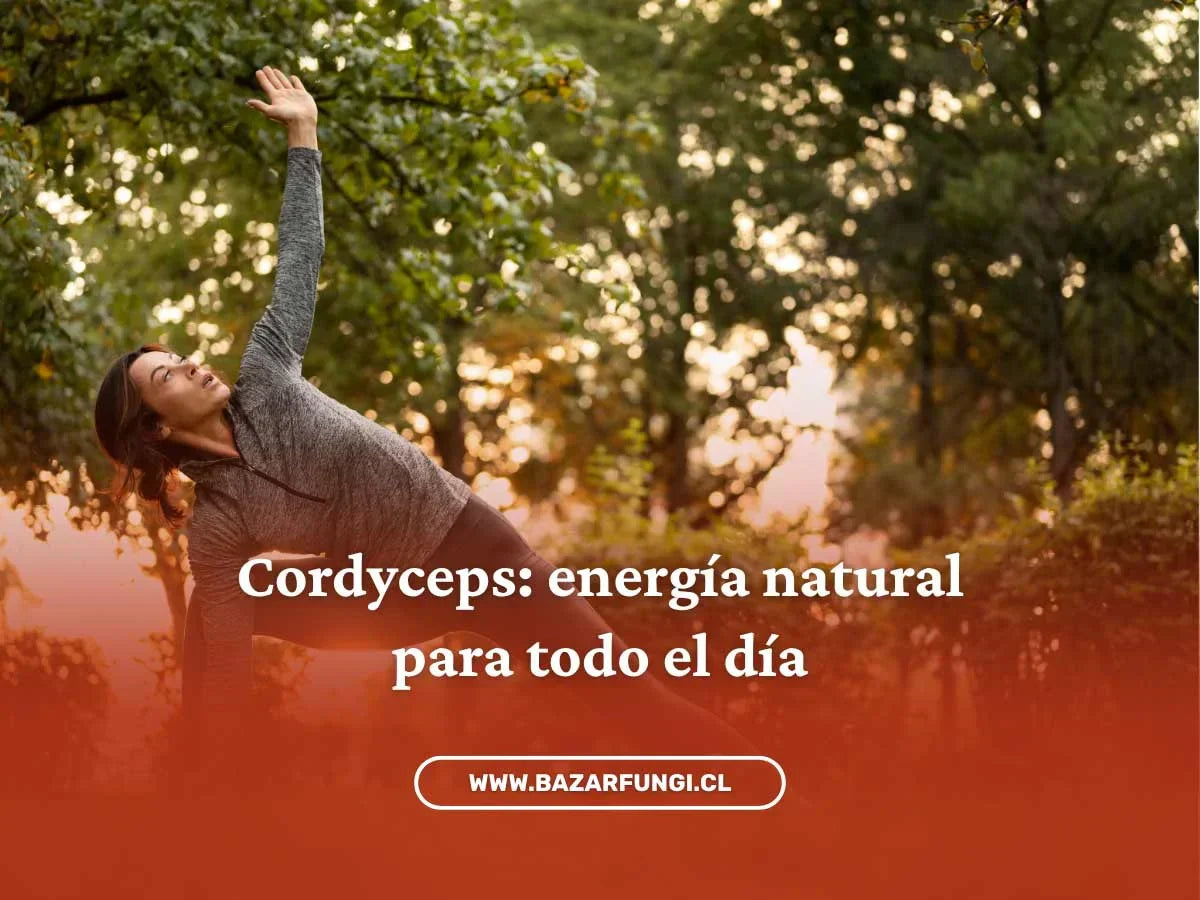 Adaptógenos para energía: una ayuda natural para recuperar tu vitalidad