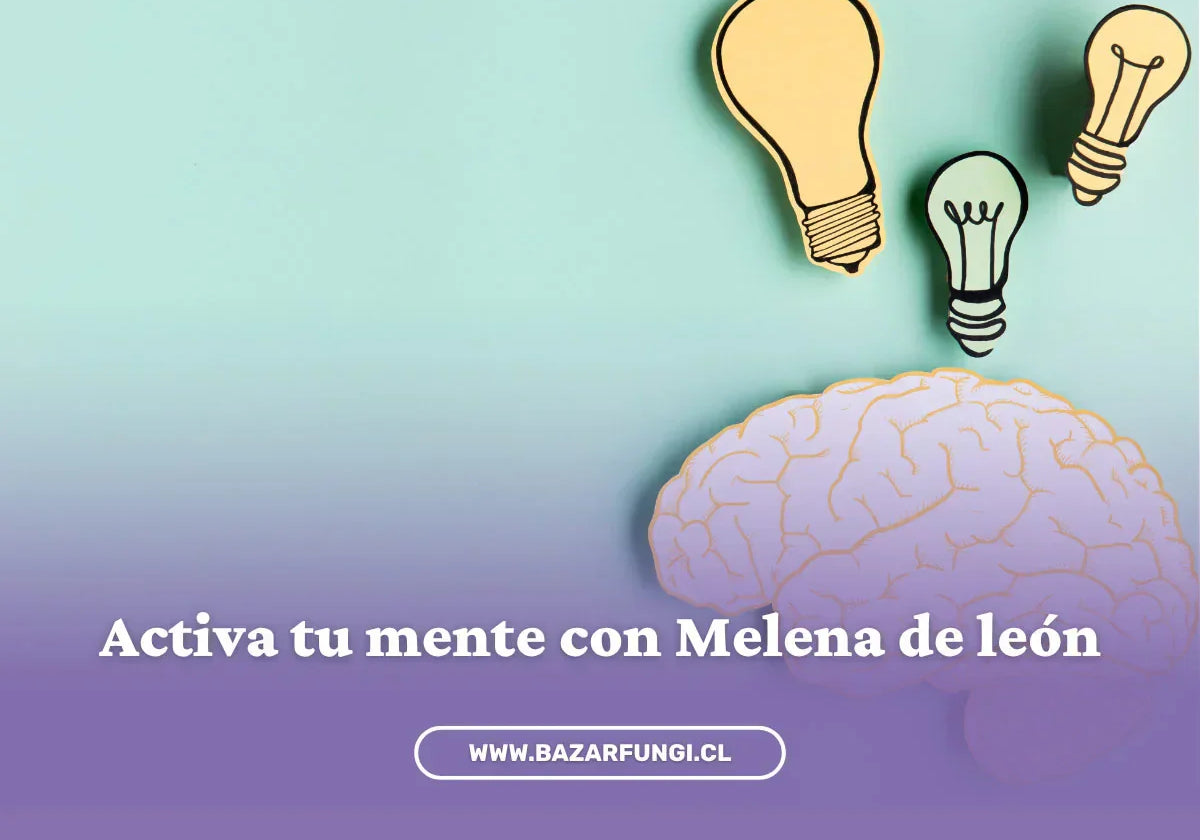 Adaptógenos para la memoria: dale un empujón natural a tu concentración