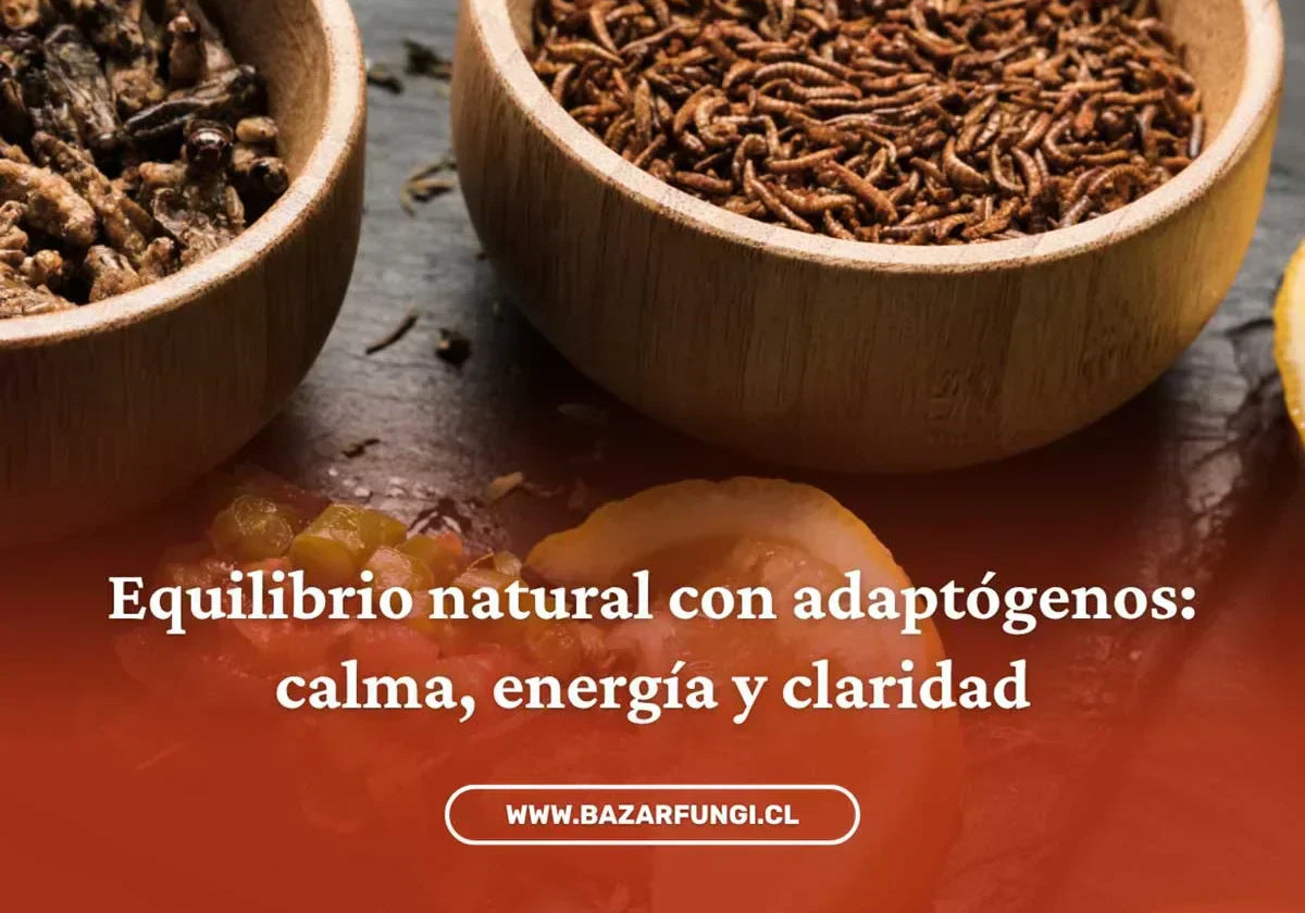 Adaptógenos: qué son, cómo funcionan y por qué pueden ayudarte