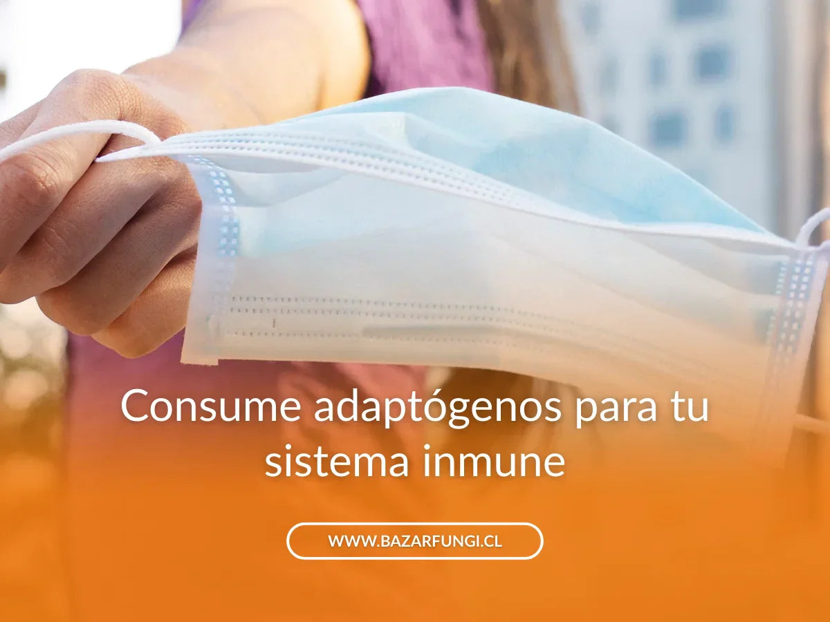 Adaptógenos y sistema inmune: la guía que necesitas leer