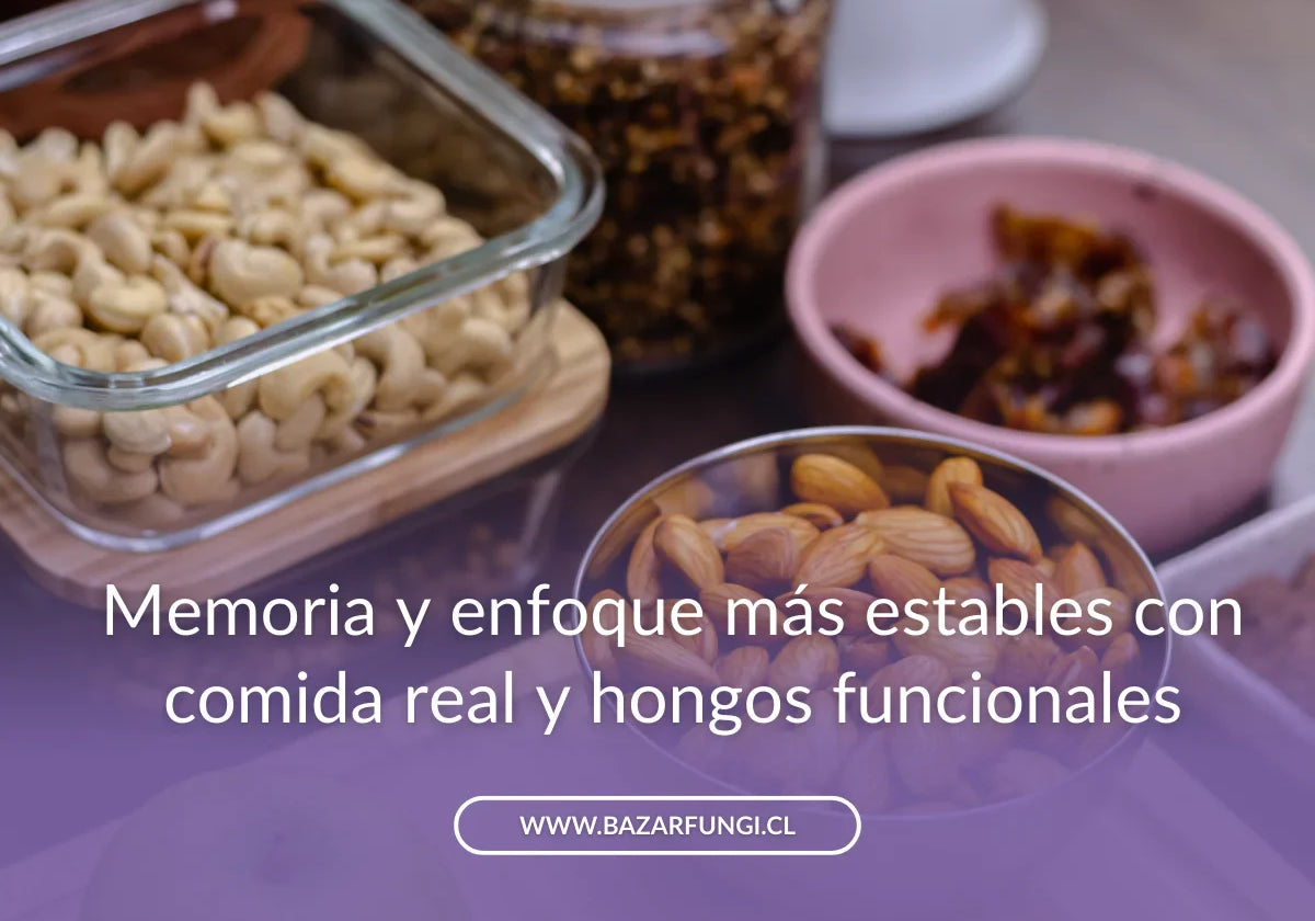 Alimentos para la concentración: memoria y foco con hongos funcionales