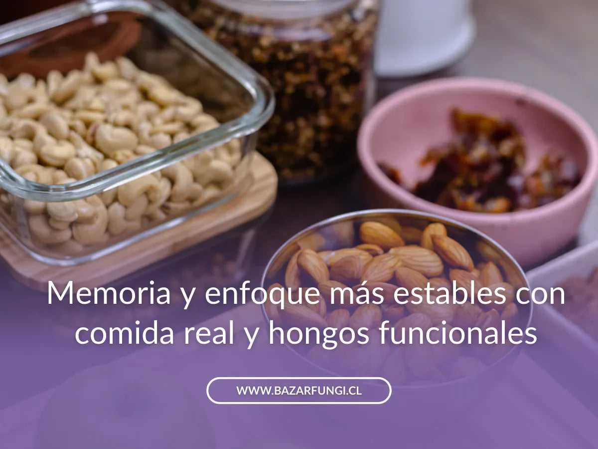 Alimentos para la concentración: memoria y foco con hongos funcionales