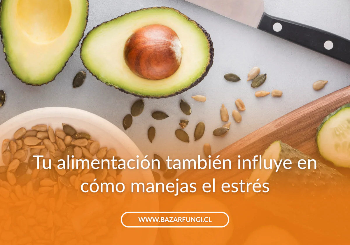 Alimentos para mejorar el estrés: qué comer para sentirte más tranquilo y con energía
