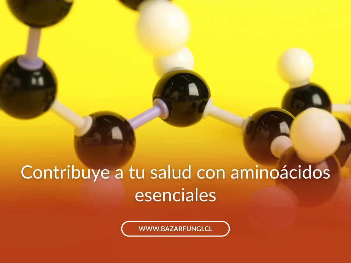Aminoácidos esenciales: qué son, para qué sirven y dónde encontrarlos