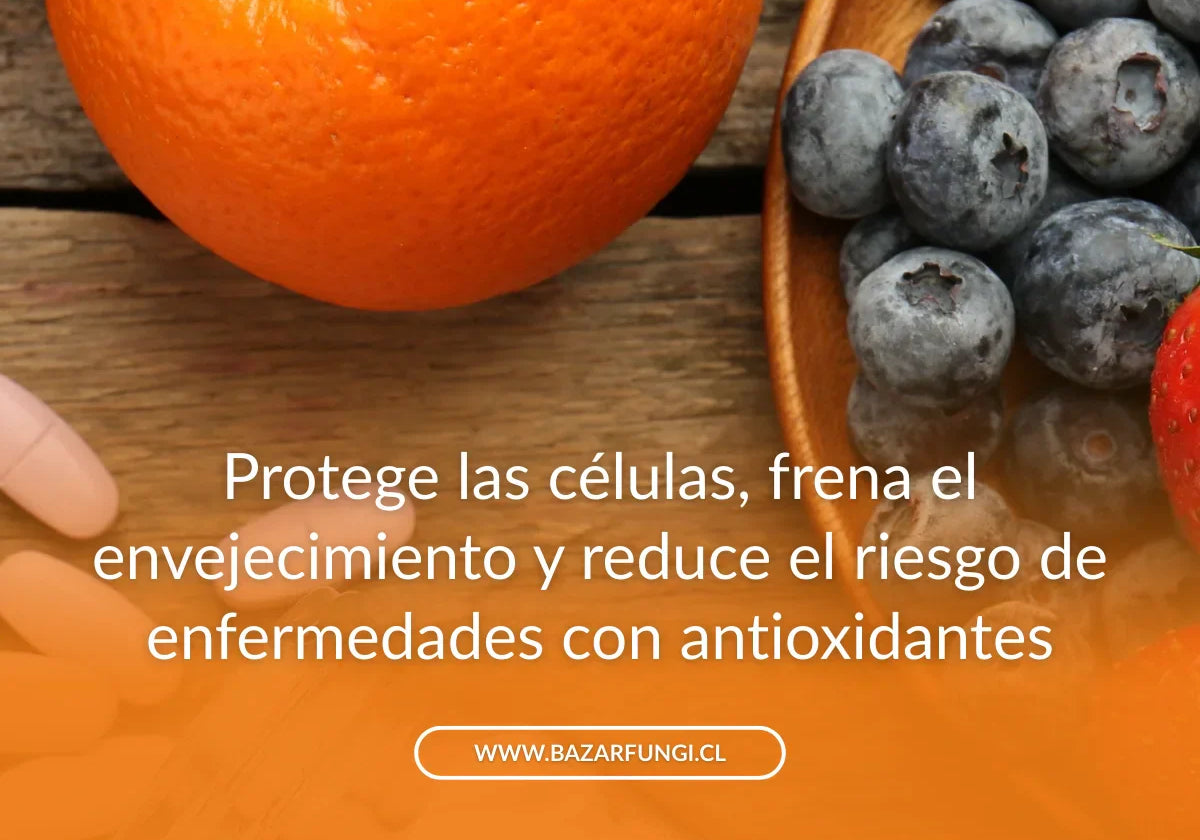 Antioxidantes: qué son, para qué sirven y dónde encontrarlos