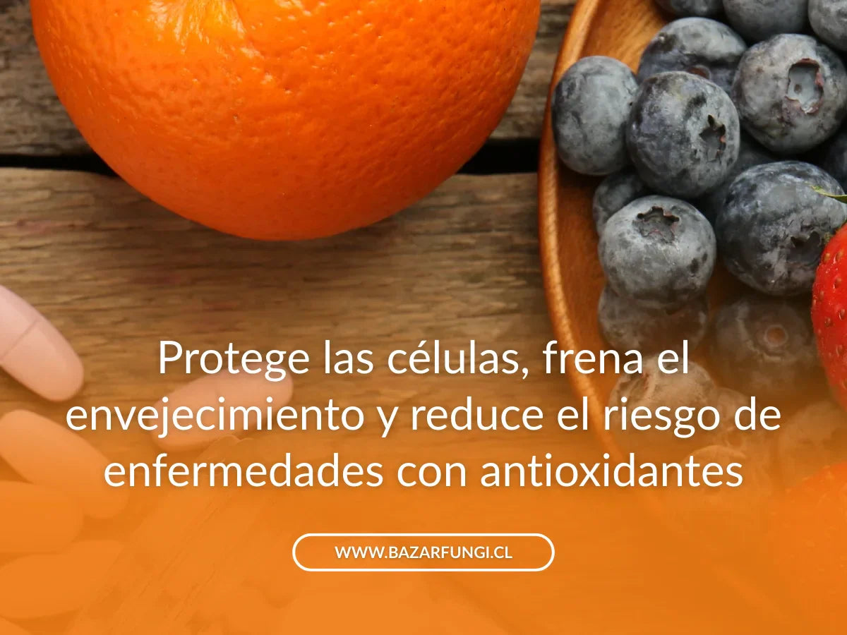 Antioxidantes: qué son, para qué sirven y dónde encontrarlos