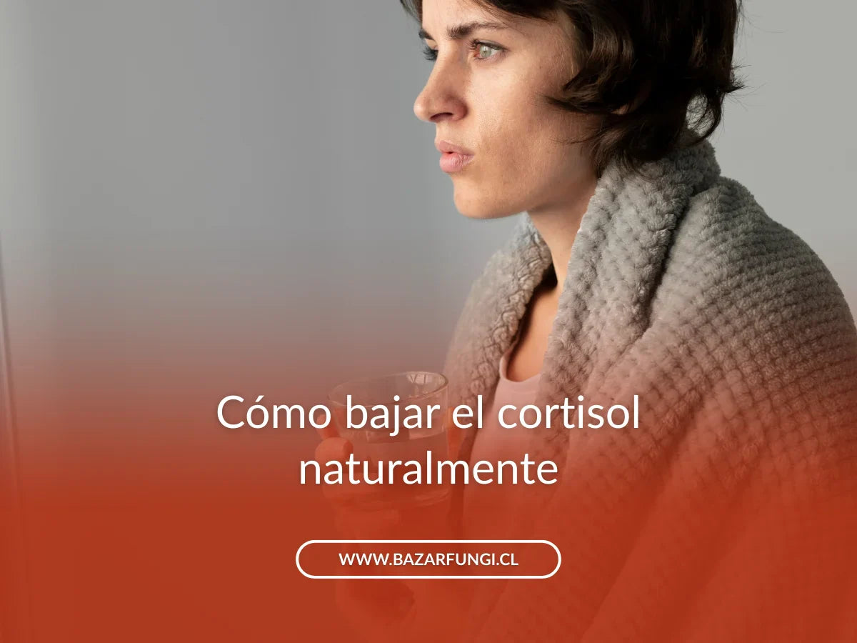 Cómo bajar el cortisol naturalmente para reducir el estrés – Bazar Fungi