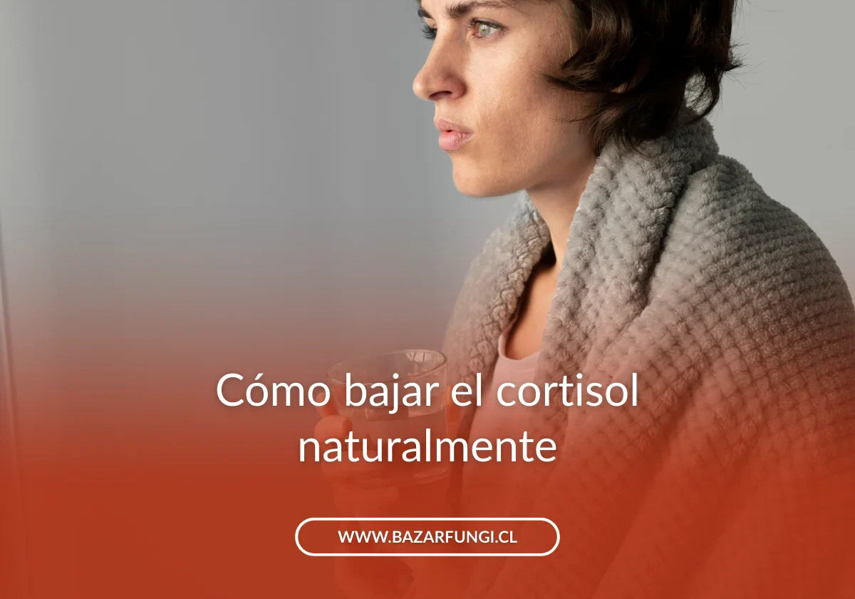 Cómo bajar el cortisol naturalmente: hábitos y adaptógenos que ayudan a tu cuerpo a recuperar la calma