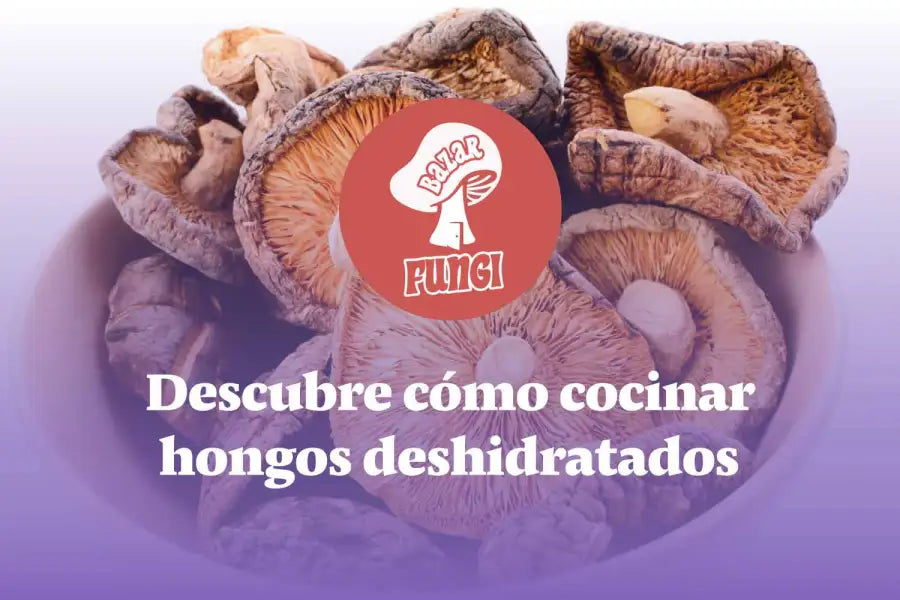 Descubre cómo cocinar hongos deshidratados