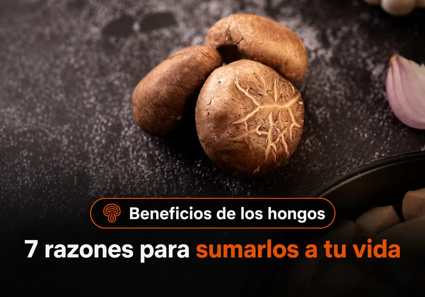 Beneficios de los hongos: 7 razones para sumarlos a tu vida