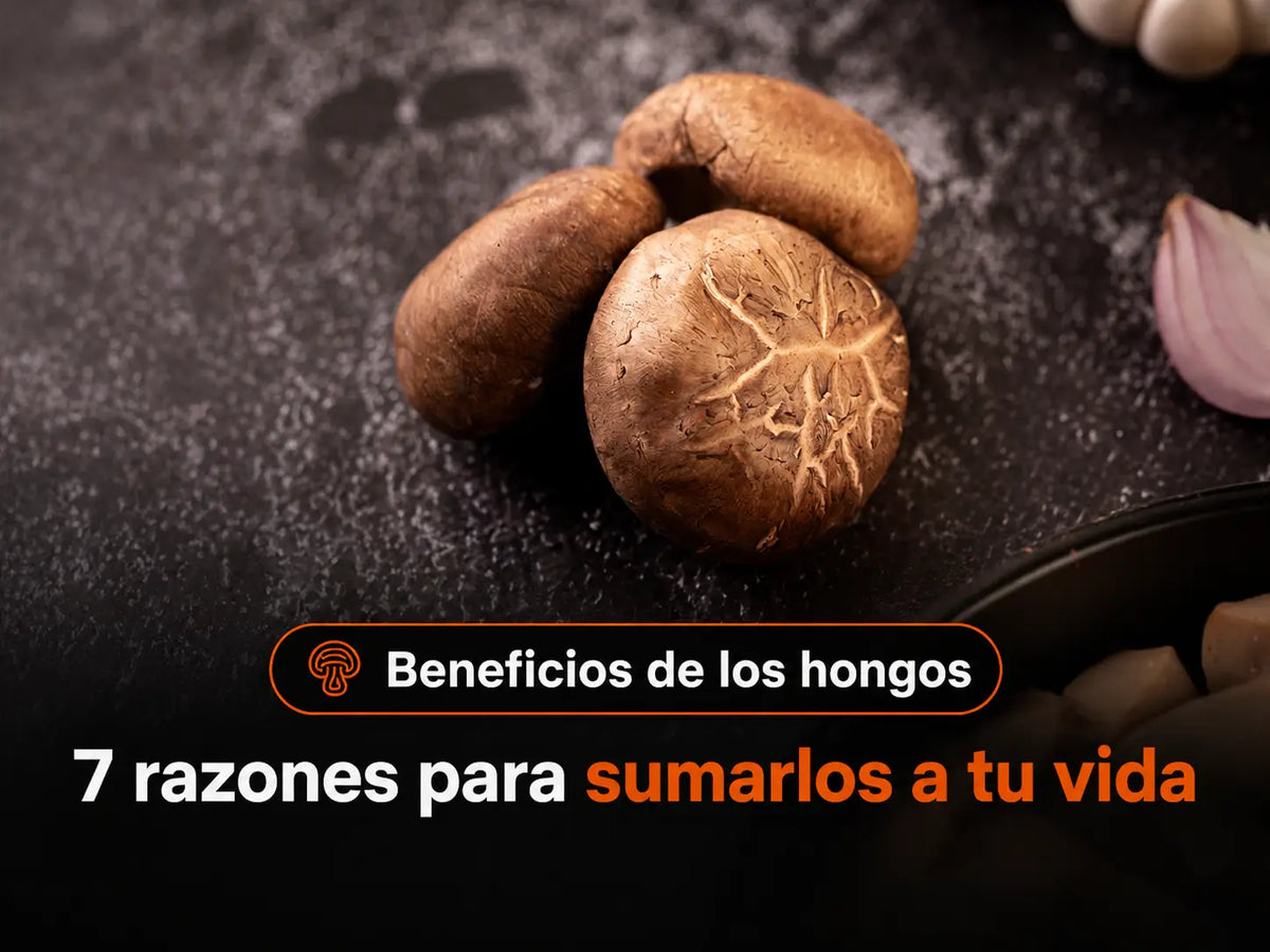 Beneficios de los hongos