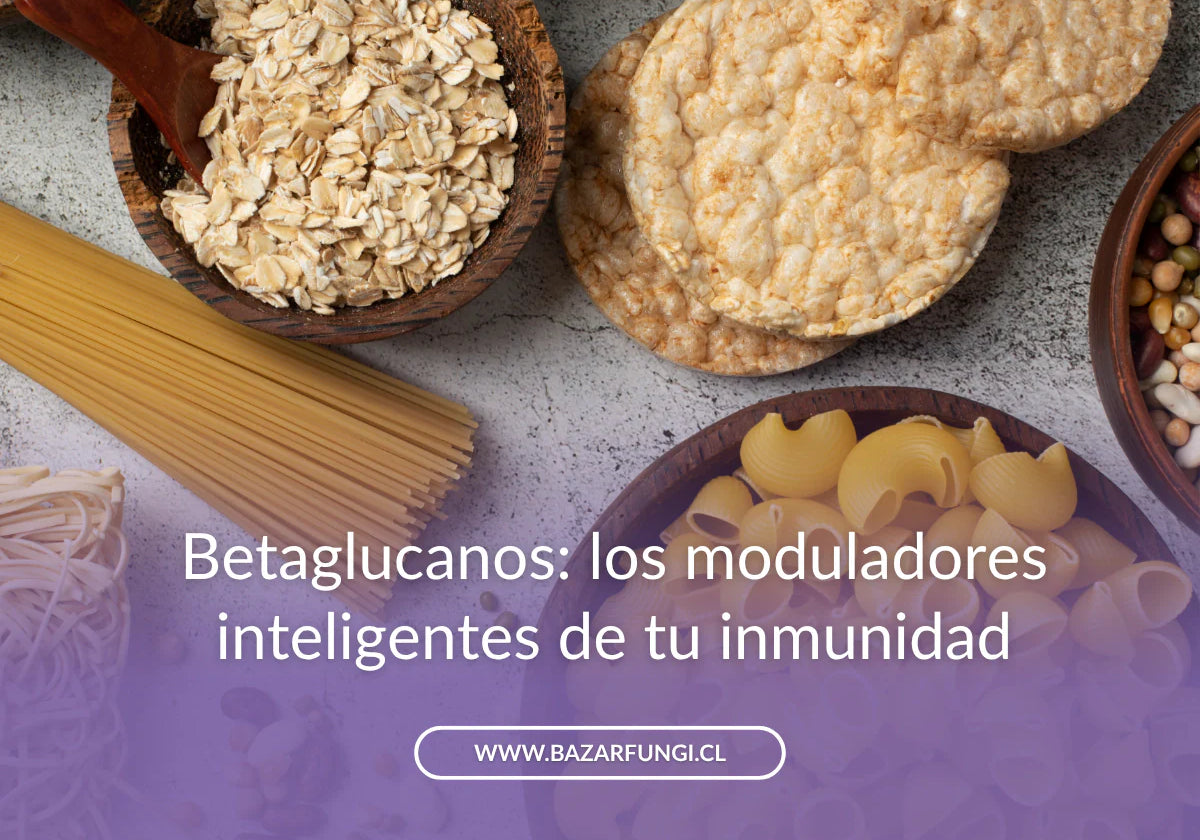 Betaglucanos: qué son y por qué tu cuerpo los necesita
