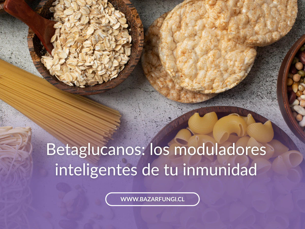 Betaglucanos: qué son y por qué tu cuerpo los necesita