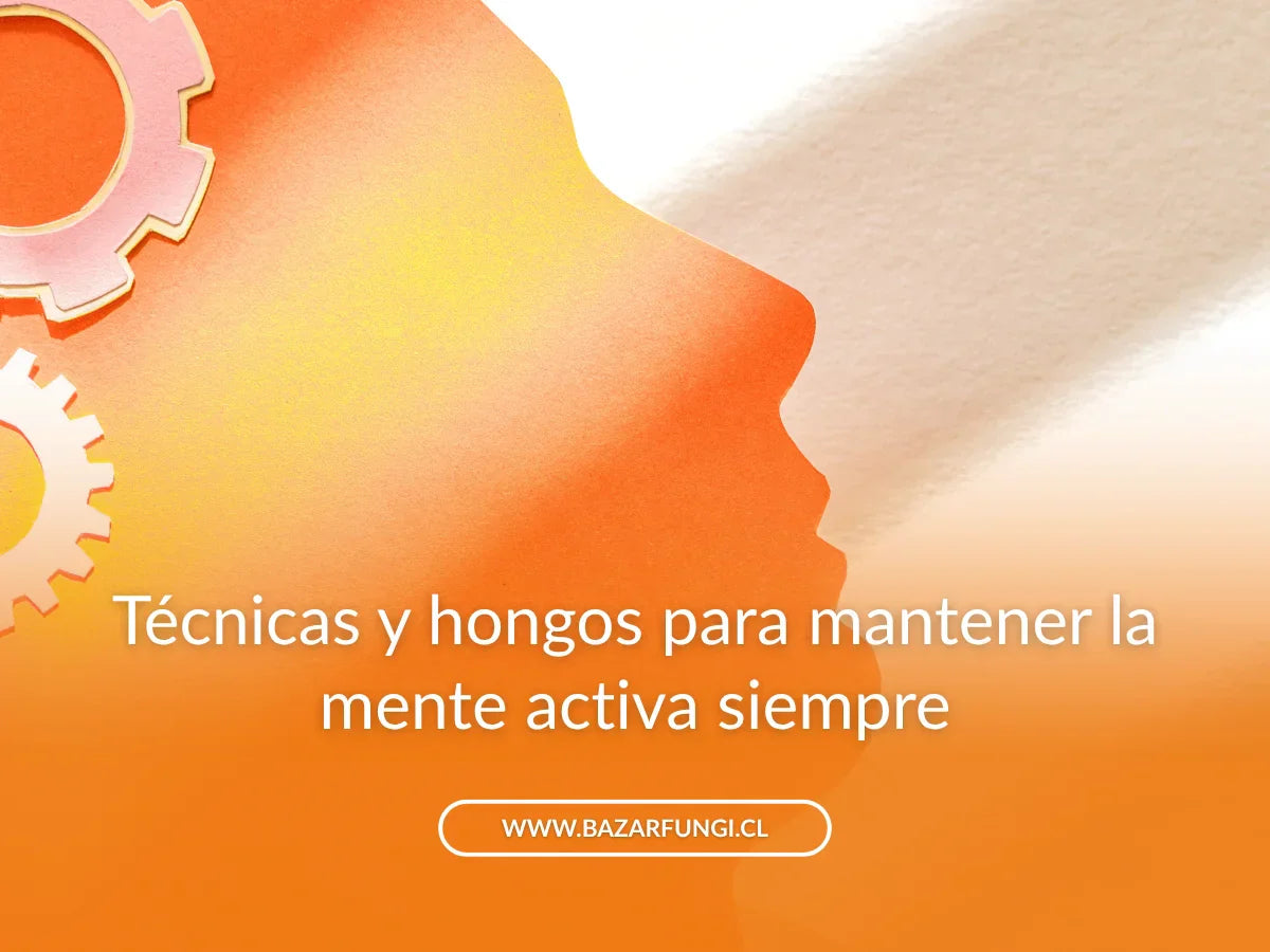 Cómo mejorar el rendimiento mental con hábitos y hongos