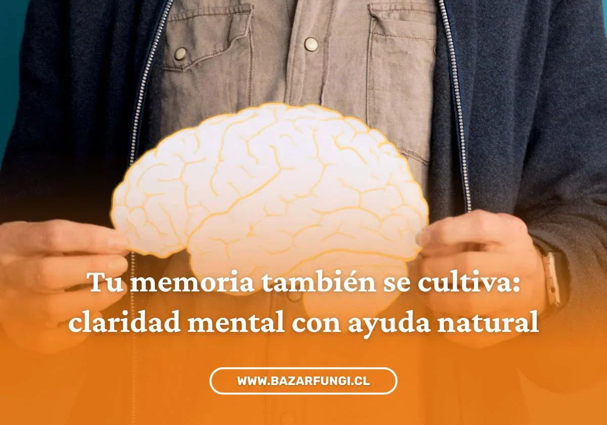 Cómo mejorar la memoria: suplementos naturales y hongos adaptógenos para tu cerebro