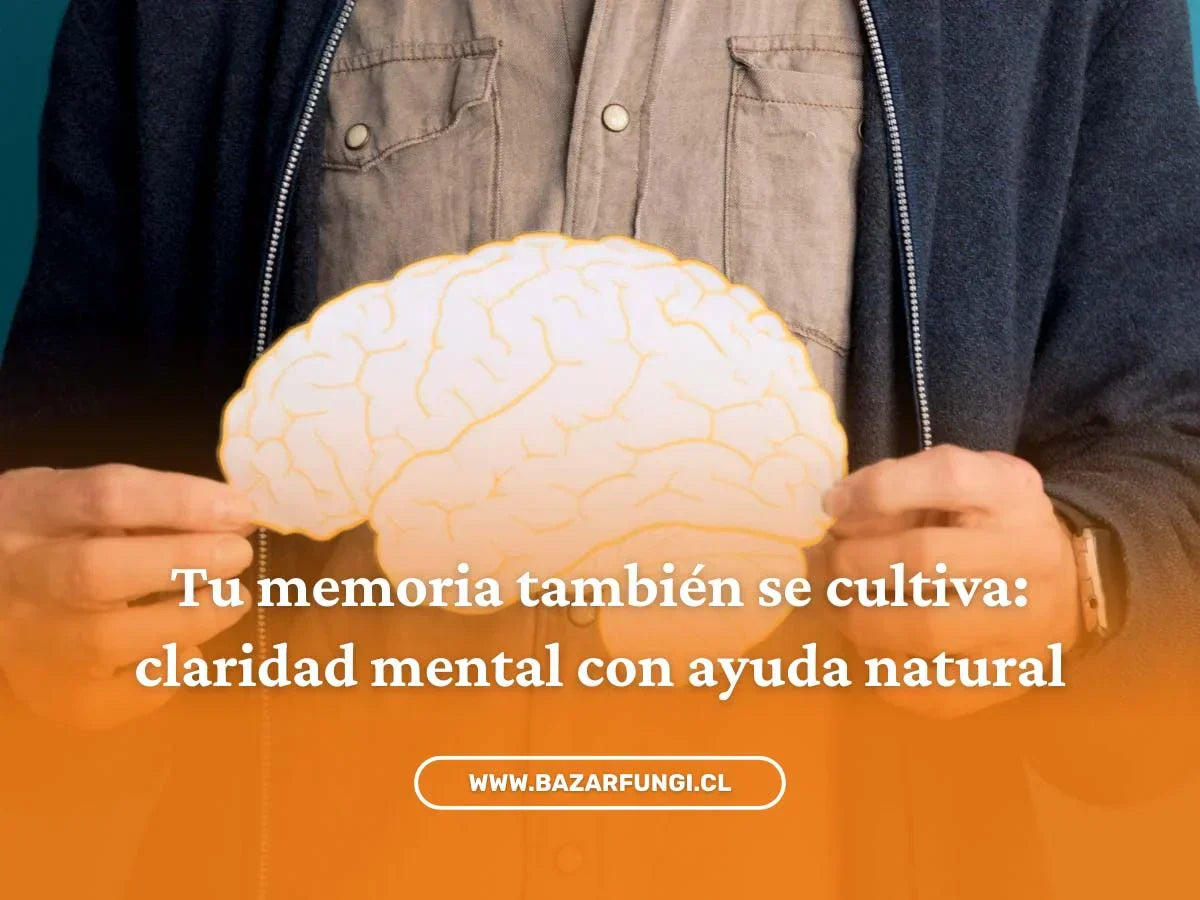 Cómo mejorar la memoria: suplementos naturales y hongos adaptógenos para tu cerebro