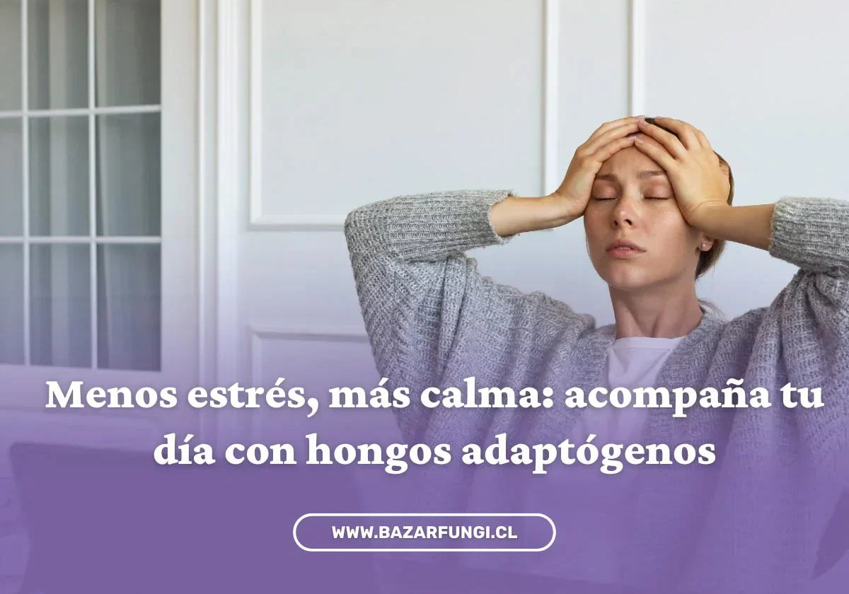 Cómo reducir el estrés de forma natural: hongos, hábitos y autocuidado