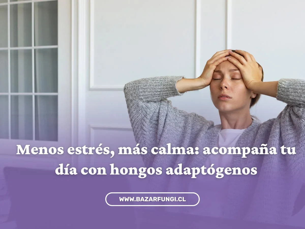 Cómo reducir el estrés de forma natural: hongos, hábitos y autocuidado