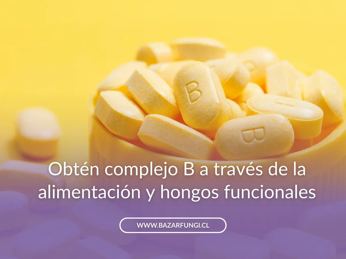 Complejo B