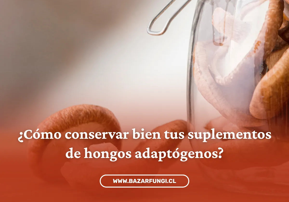 ¿Cómo conservar bien tus suplementos de hongos adaptógenos?