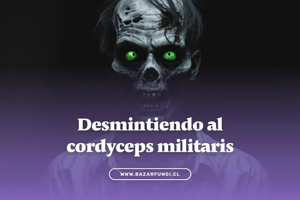 Desmitificando el cordyceps en humanos: separando la realidad de la ficción