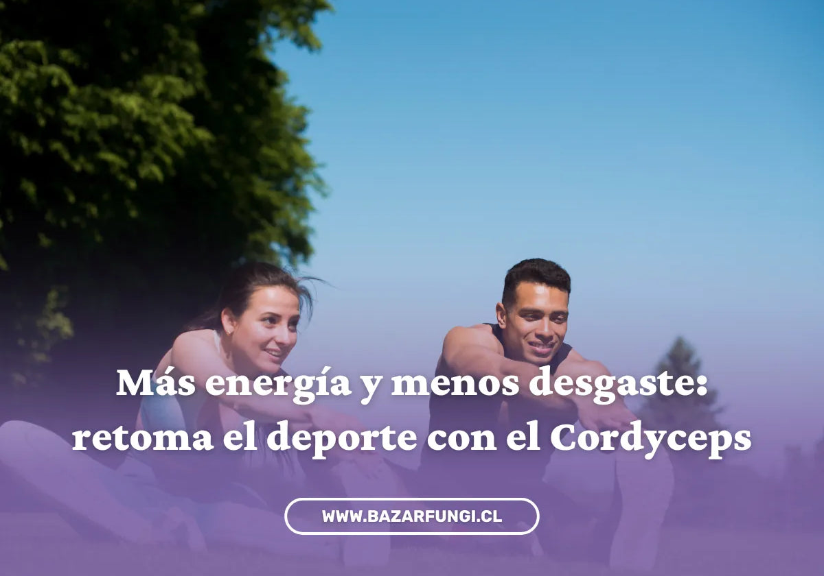 Cordyceps y deporte: recupera tu energía y vuelve a moverte