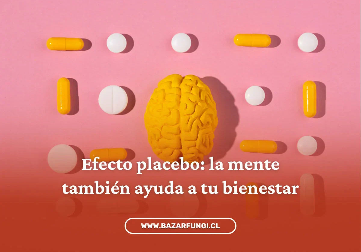Efecto placebo y efecto nocebo: cómo influyen en tu bienestar
