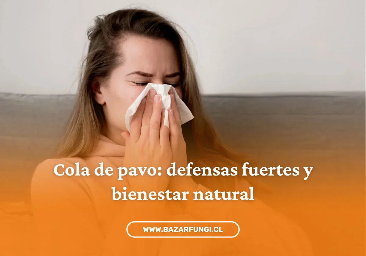 Beneficios del hongo cola de pavo: un aliado natural para la inmunidad y las alergias