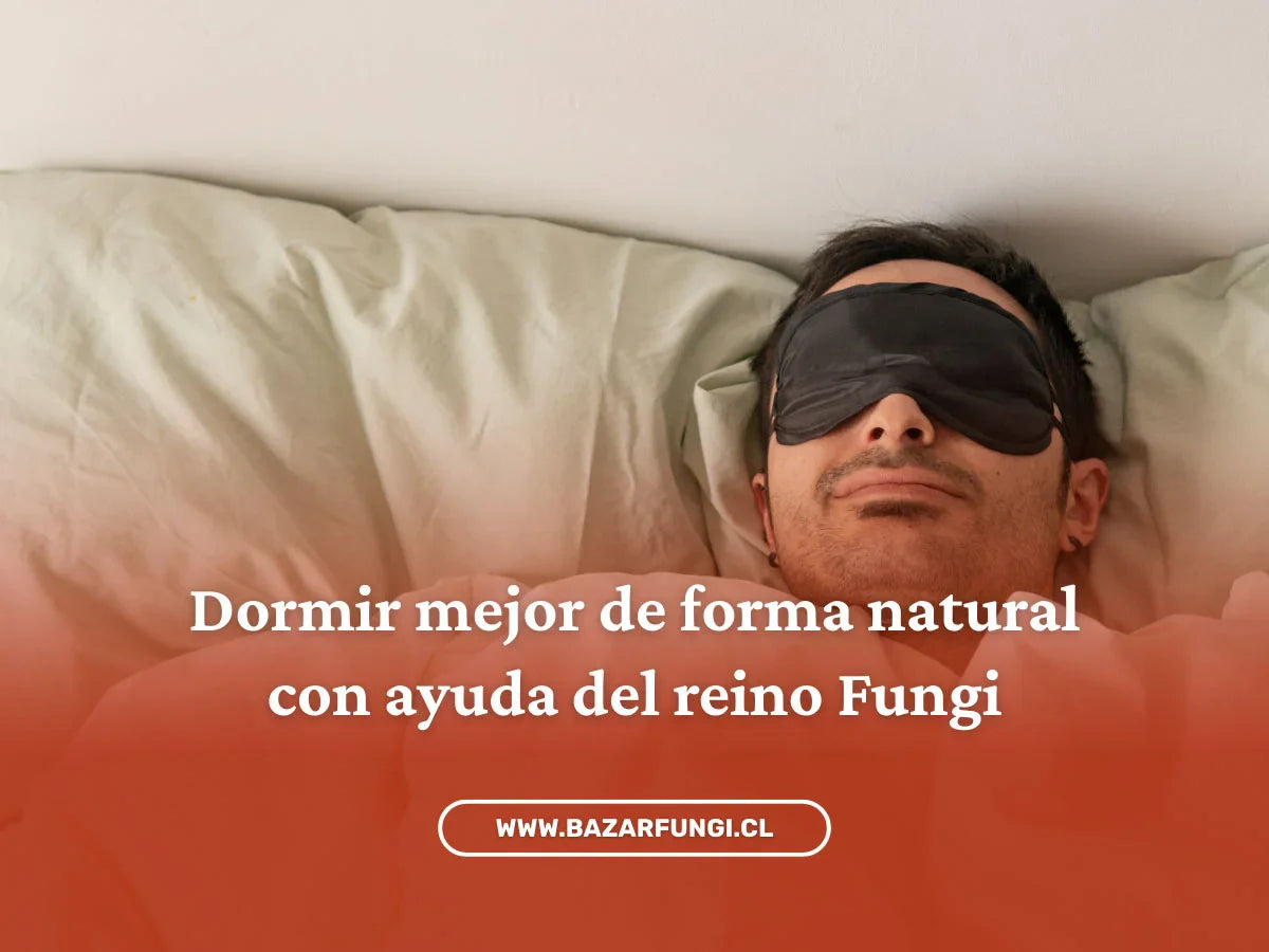 Hongos adaptógenos para dormir: descansa naturalmente con ayuda del reino Fungi
