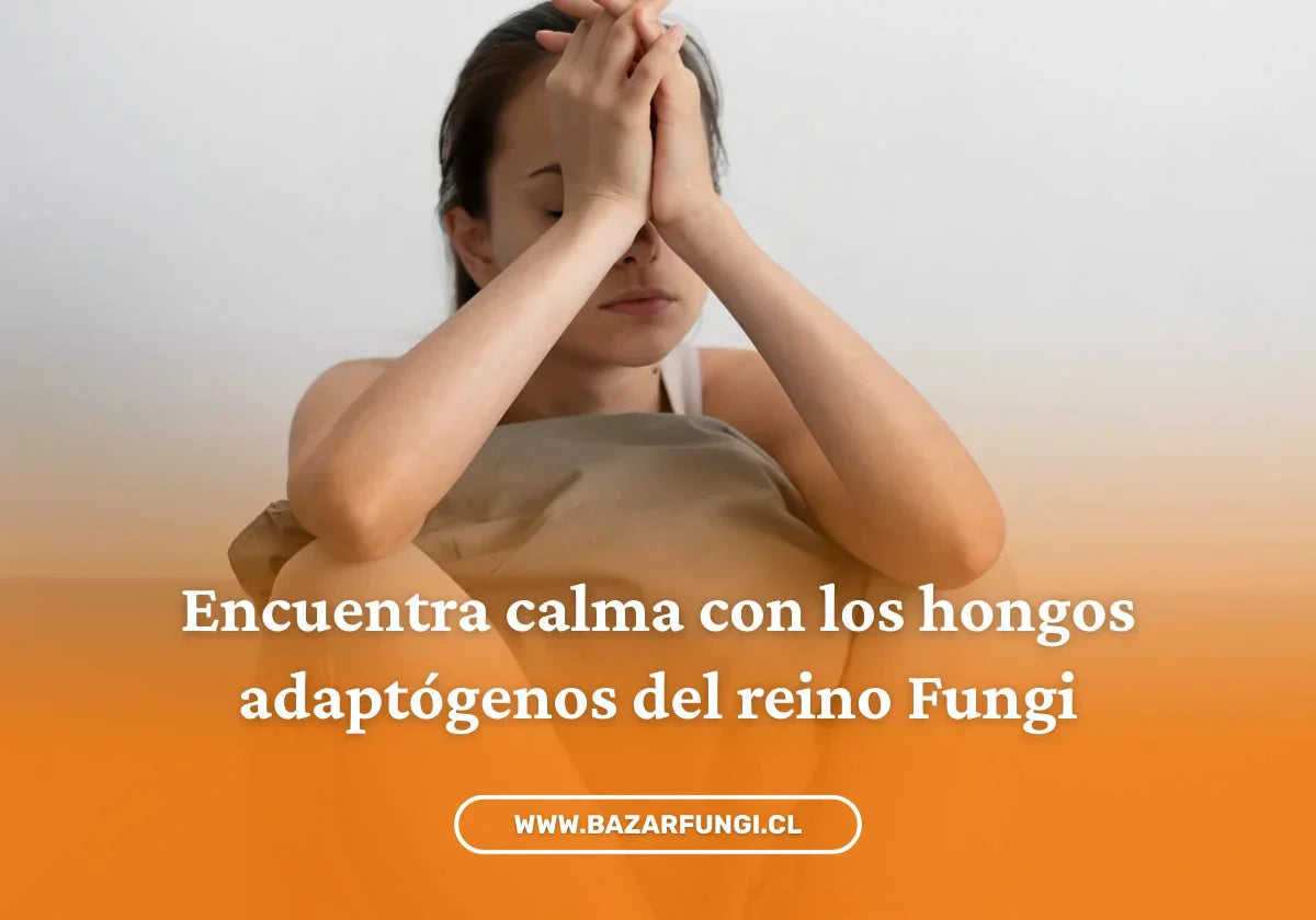 Hongos adaptógenos para la ansiedad: calma natural en tiempos agitados