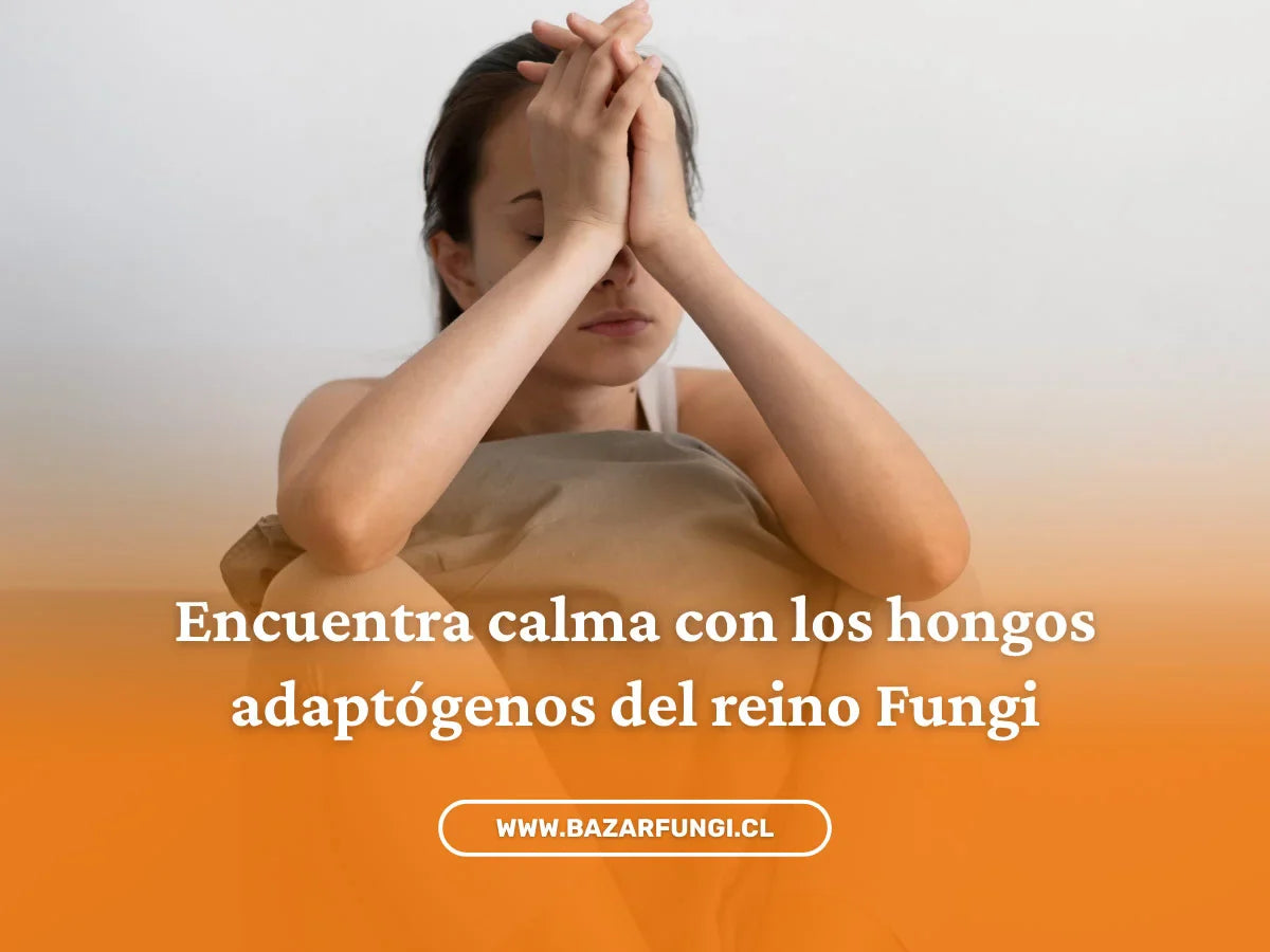 Hongos adaptógenos para la ansiedad: calma natural en tiempos agitados