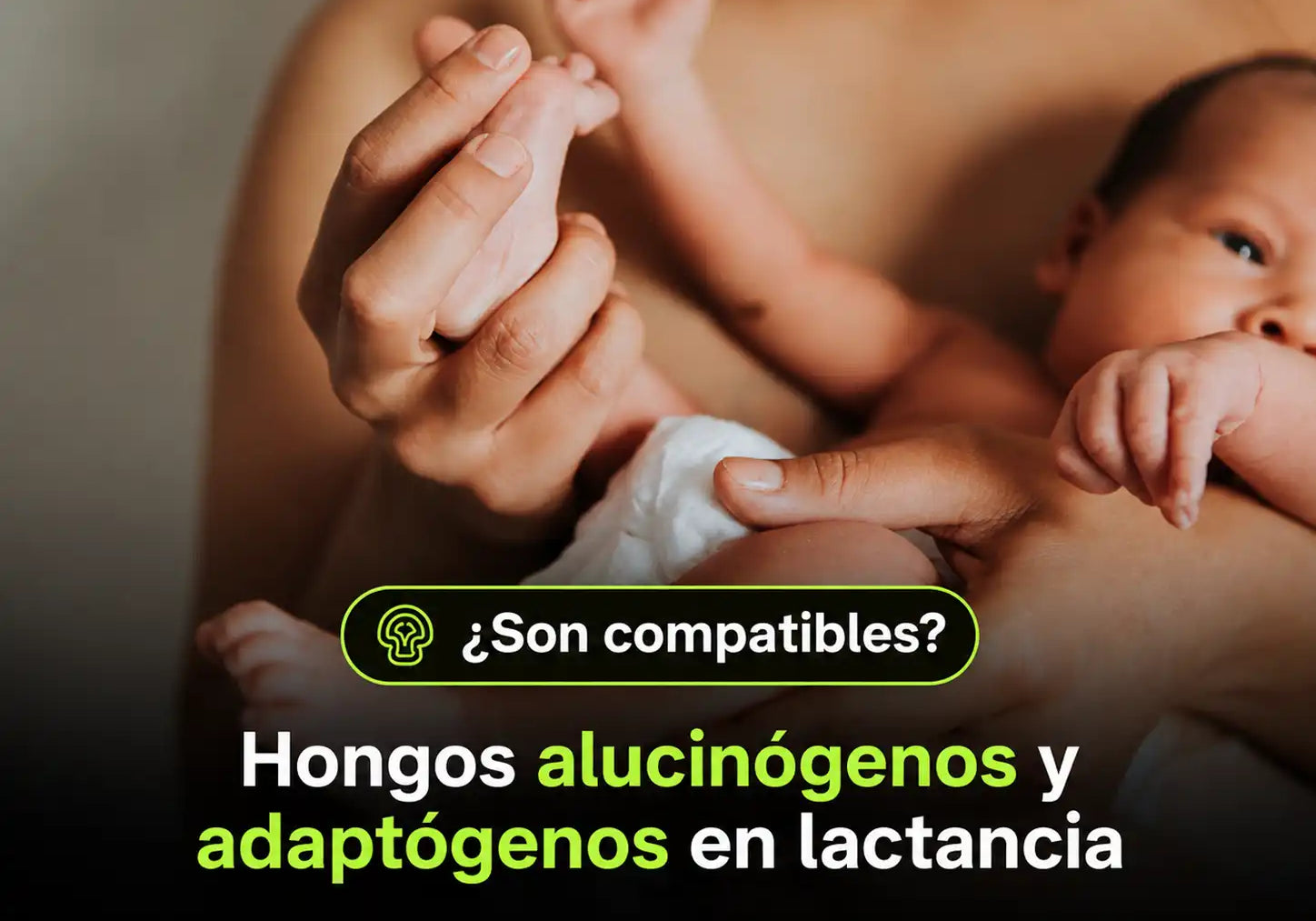 ¿Se pueden consumir hongos alucinógenos y adaptógenos en lactancia?