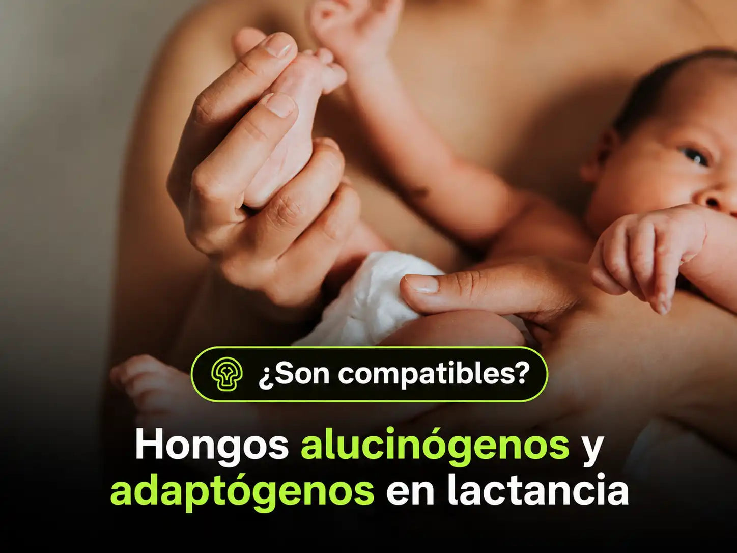 ¿Se pueden consumir hongos alucinógenos y adaptógenos en lactancia?