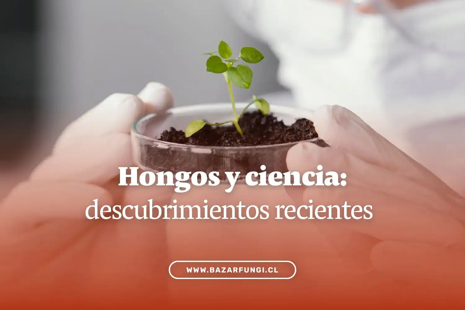 Descubrimientos recientes sobre los hongos en la ciencia