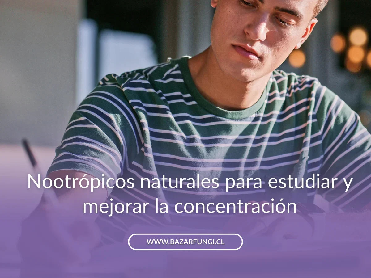 Mejores nootrópicos para estudiar