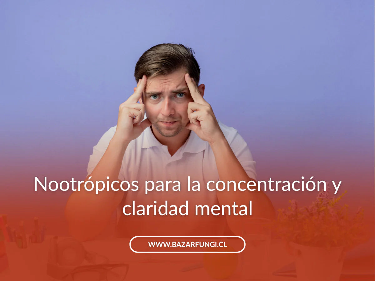 Nootrópicos para la concentración: cómo funcionan realmente en tu cerebro
